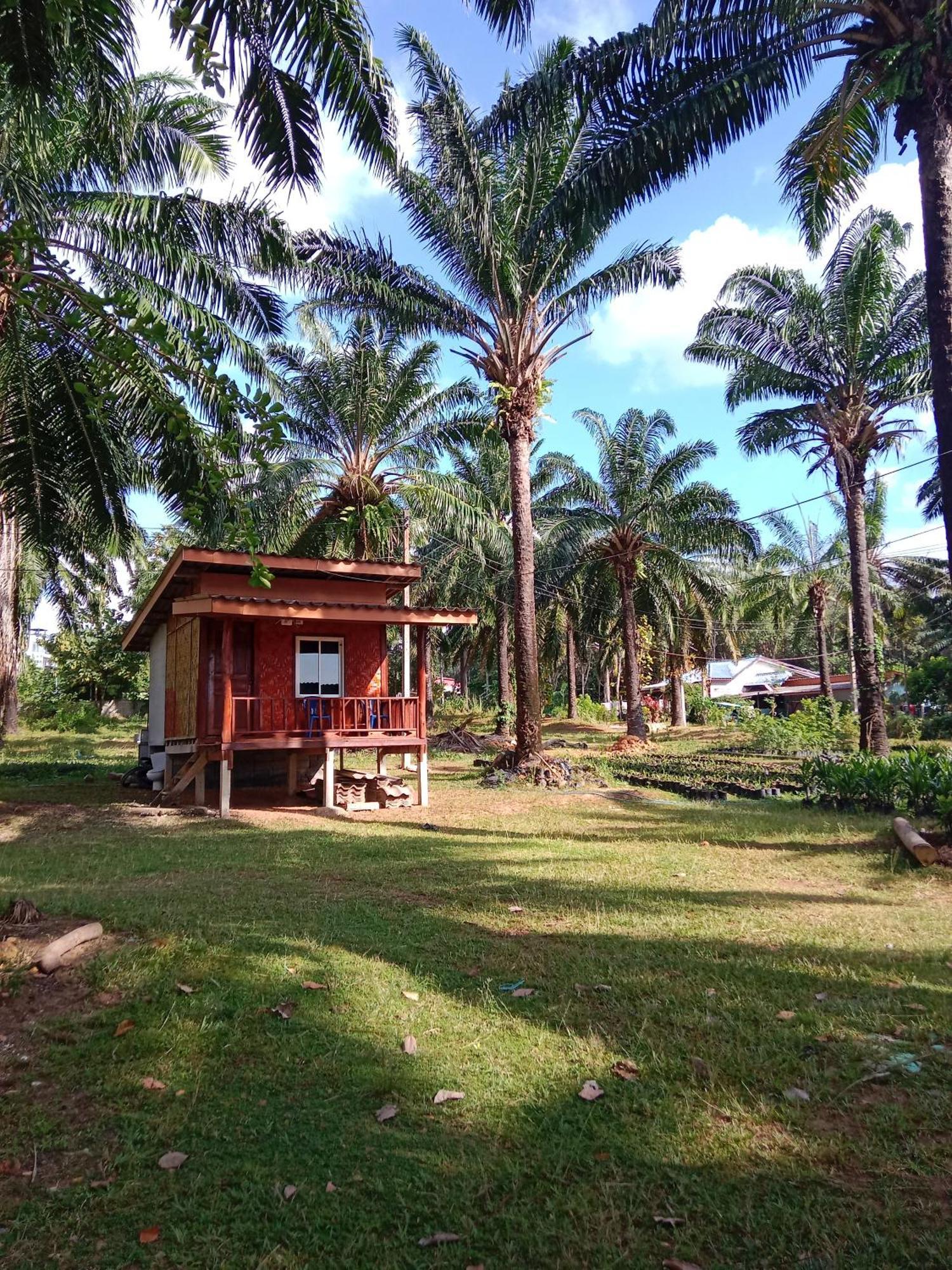 Hotel Som Palmgarden Ko Lanta Esterno foto