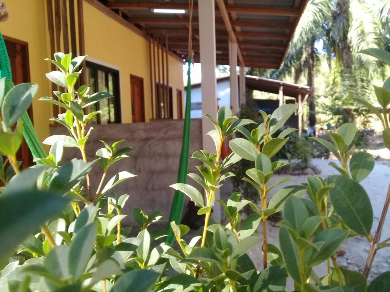 Hotel Som Palmgarden Ko Lanta Esterno foto