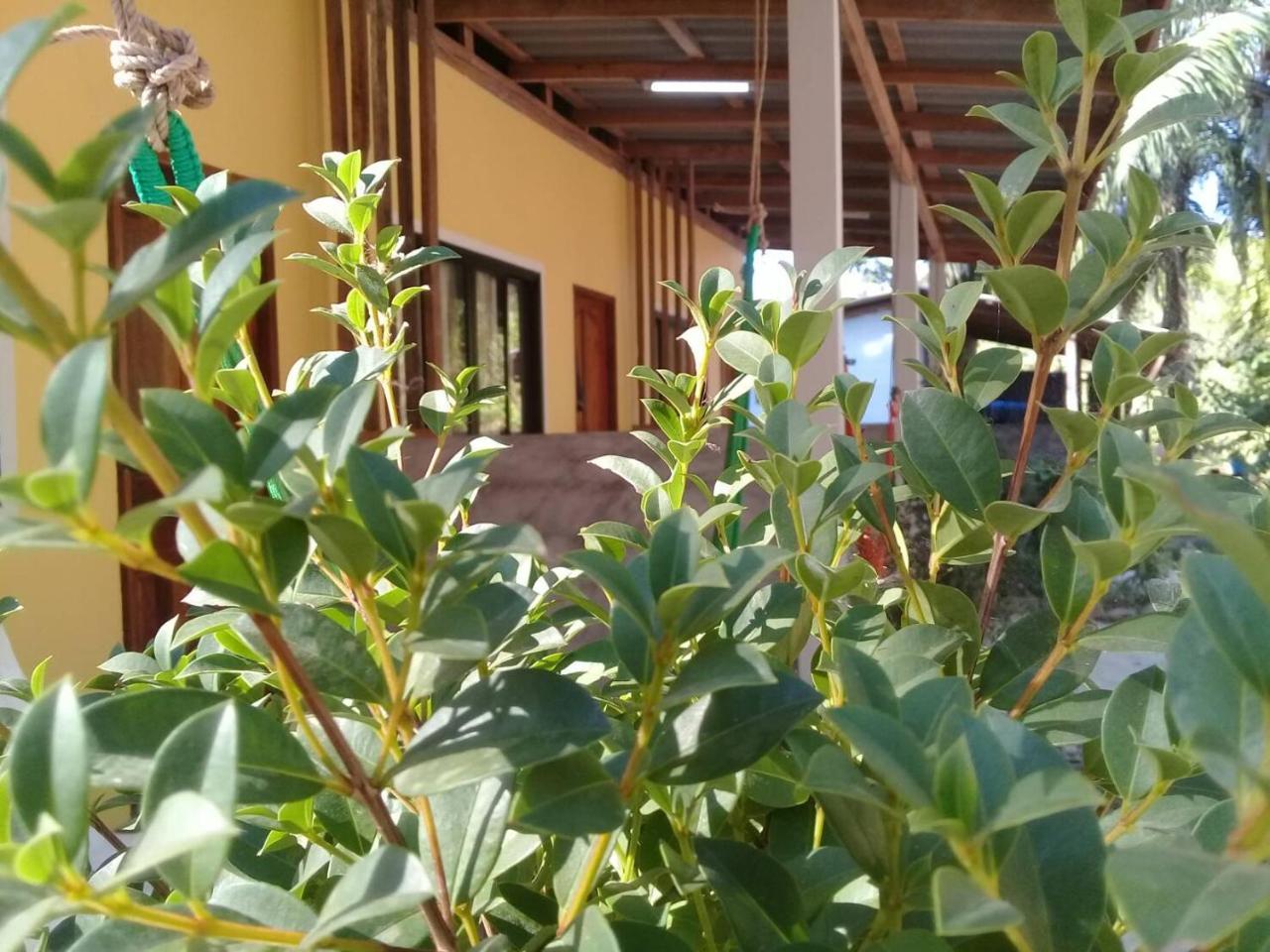Hotel Som Palmgarden Ko Lanta Esterno foto